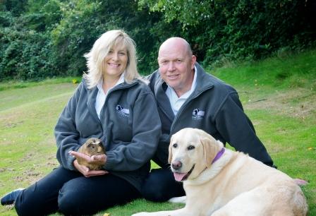 pet sitting horsham